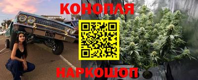 индика Кинель