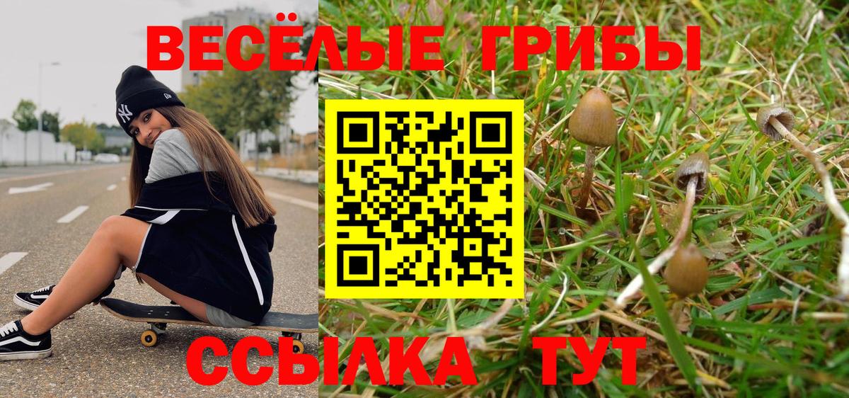 Галлюциногенные грибы мухоморы  Вход с VPN  Валуйки 